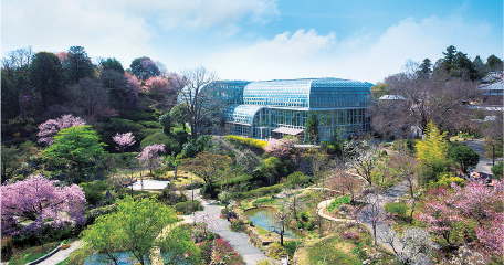 高知県立牧野植物園